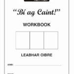 bí ag caint! workbook