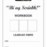 bí ag scríobh! workbook
