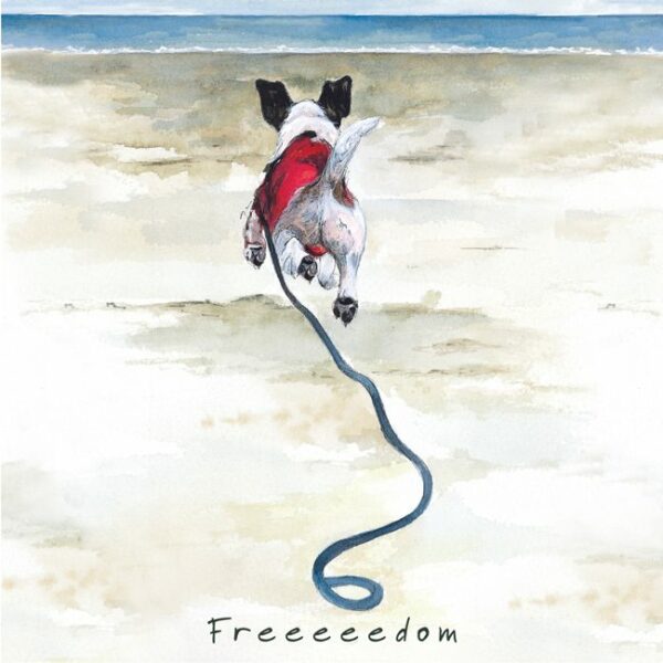 Jack Russell Freedom