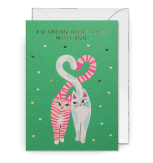 I’d Spend Nine Lives with You Cats Greeting Card