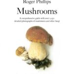 mushrooms