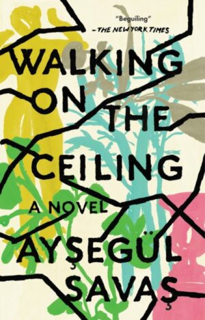 walking on the ceiling : a novel