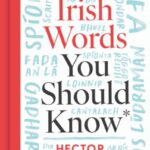 the irish words you should know