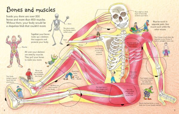 see inside your body