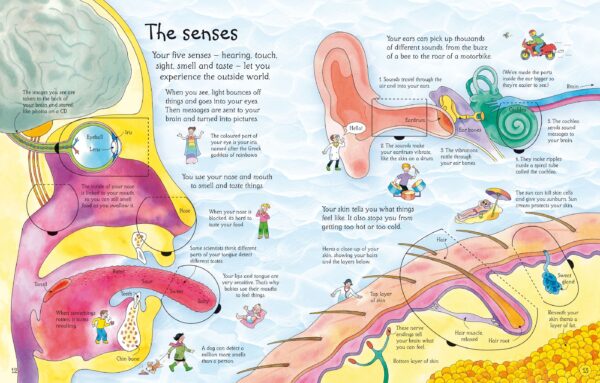 see inside your body
