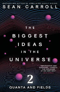 The Biggest Ideas in the Universe 2 : Quanta and Fields