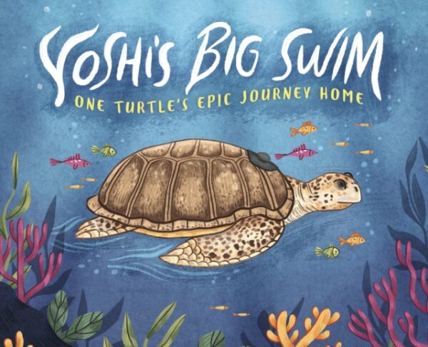 Yoshi's Big Swim : One Turtle's Epic Journey Home
