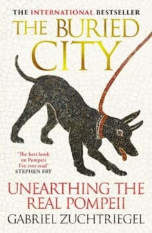 The Buried City : Unearthing the Real Pompeii