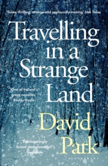 Travelling in a Strange Land : Winner of the Kerry Group Irish Novel of the Year