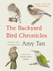 Backyard Bird Chronicles