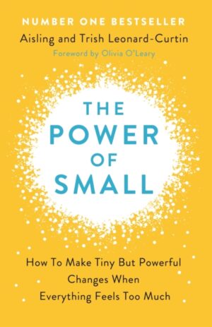the power of small : how to make tiny but powerful changes when everything feels too much