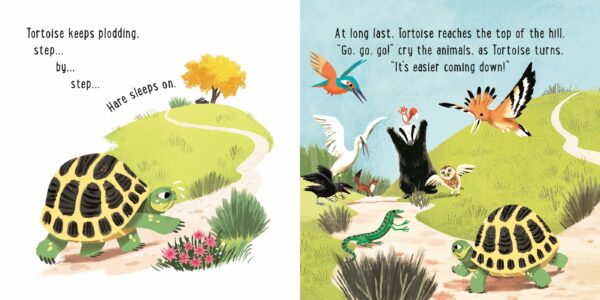 the hare and the tortoise