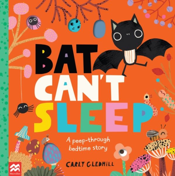 Bat Can't Sleep : A Peep-Through Adventure