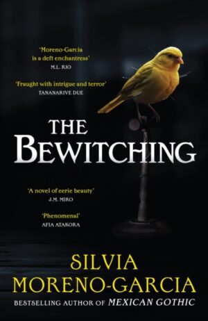The Bewitching