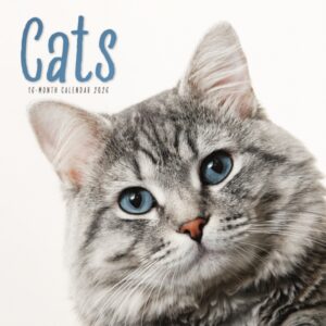 Cats Square Wall Calendar 2026