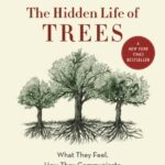 the hidden life of trees : what they feel, how they communicate discoveries from a secret world