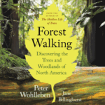 forest walking: discovering the trees and woodlands of north america