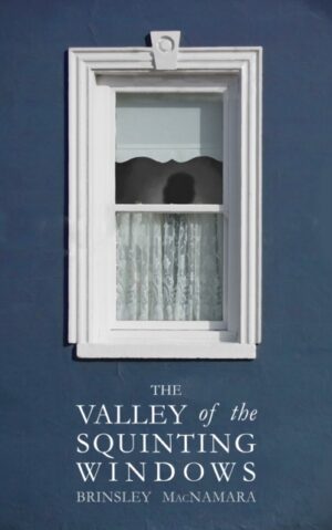 the valley of the squinting windows