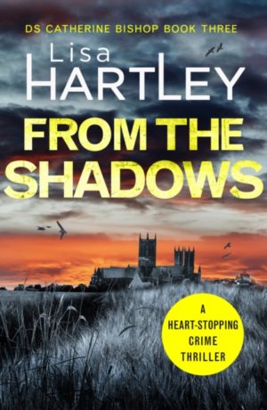 From the Shadows :  DS Catherine Bishop 3