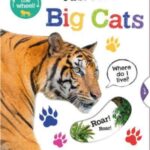 first facts big cats