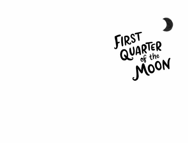 all four quarters of the moon