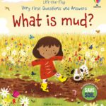 very first questions and answers: what is mud?