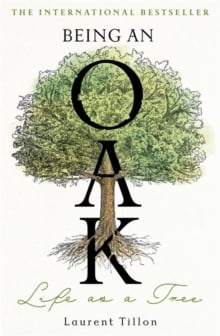 Being an Oak : Life as a tree
