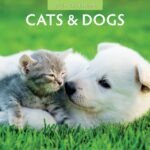 cats & dogs 2024 calendar