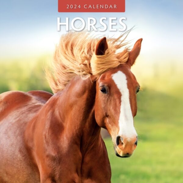 horses 2024 calendar