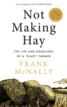 Confessions of an Irish Diarist