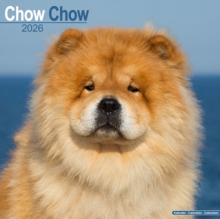 Chow Chow Calendar 2026 Square Dog Breed Wall Calendar - 16 Month