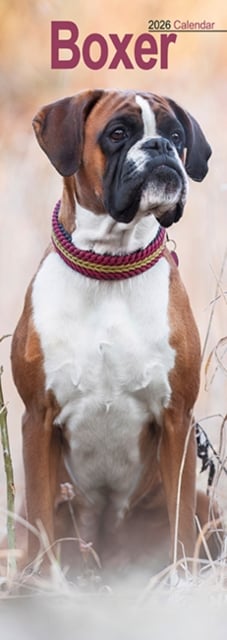 Boxer Slim Calendar 2026 Dog Breed Slimline Calendar - 12 Month