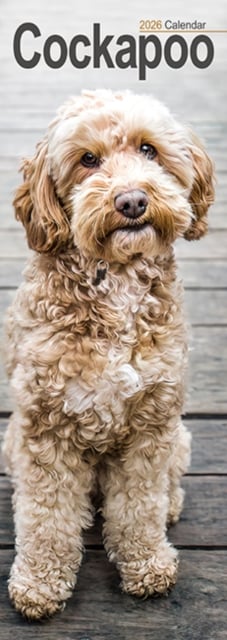 Cockapoo Slim Calendar 2026 Dog Breed Slimline Calendar - 12 Month