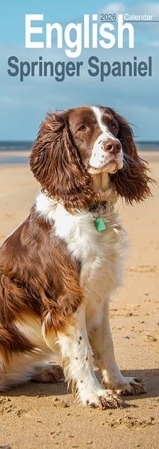 English Springer Spaniel Slim Calendar 2026 Dog Breed Slimline Calendar - 12 Month