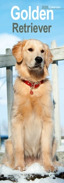 Golden Retriever Slim Calendar 2026 Dog Breed Slimline Calendar - 12 Month