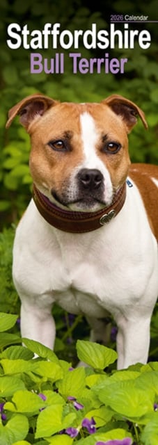 Staffordshire Bull Terrier Slim Calendar 2026 Dog Breed Slimline Calendar - 12 Month