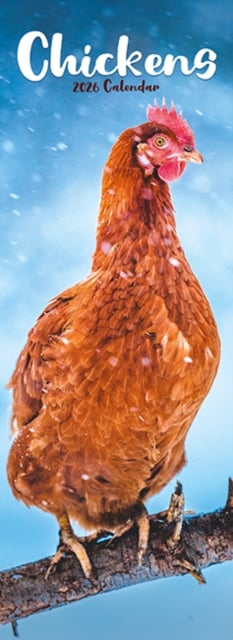 Chickens Slim Calendar 2026 Bird Slimline Calendar - 12 Month