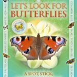 let's look for butterflies