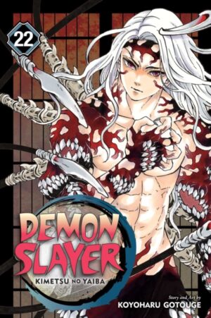 demon slayer: kimetsu no yaiba, vol. 22