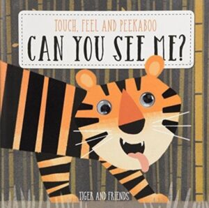 Animal Patterns & Colours: Wild Animals