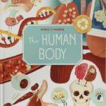 the human body