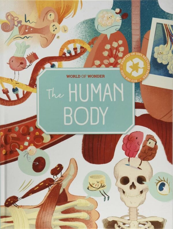 the human body