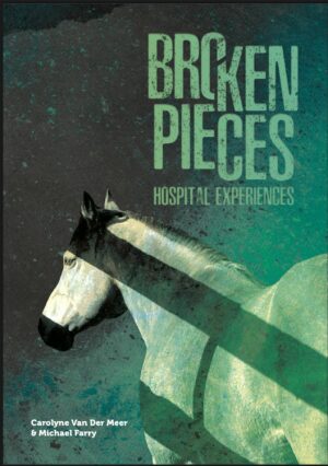 broken pieces hospital experiences