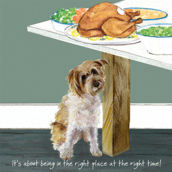 Patterdale Jack Russell X Greeting Card