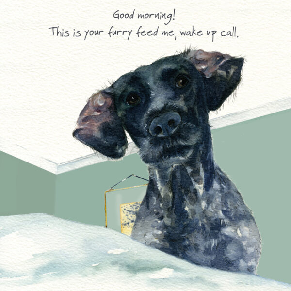 German Pointer Greeting Card