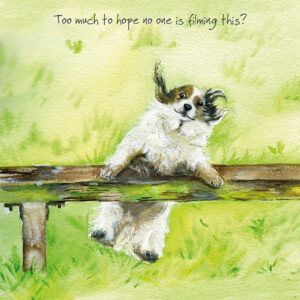 Rescue Corgi Collie Greeting Card | Bench Hopes