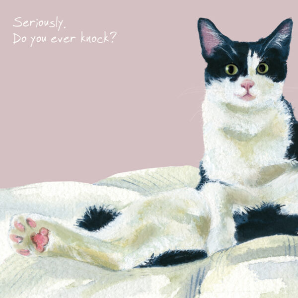 White Black Cat Greeting Card – Ever Knock