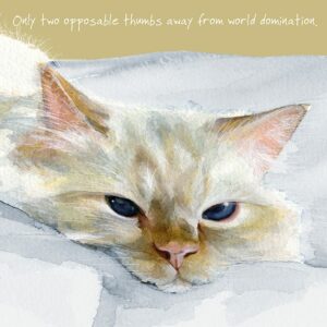 Cats Greeting Card | Window Ignore