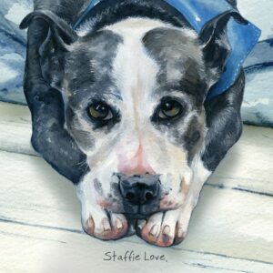 Staffordshire Terrier Greeting Card | Staffie Love
