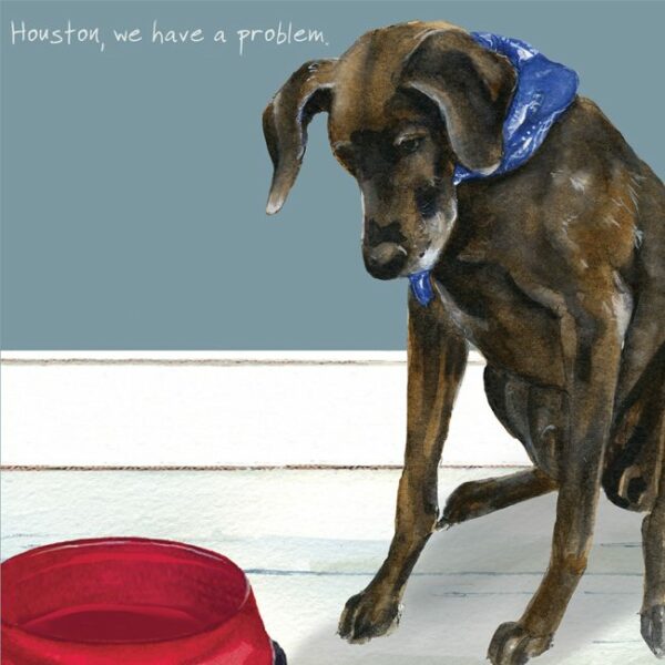 German Pointer Dog Greeting Card – Houston
